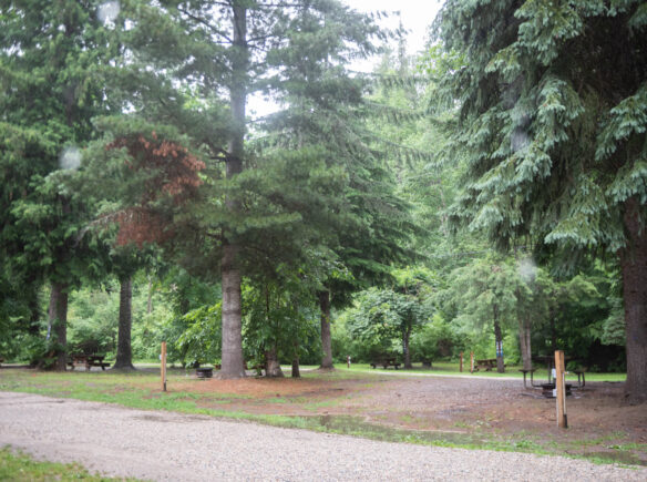 Upper Loop at Revelstoke RV & Cabin Resort